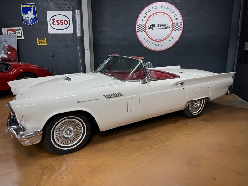 découvrez l'histoire fascinante de la t bird, ses différents modèles emblématiques et nos conseils d'entretien pour préserver sa beauté et ses performances.