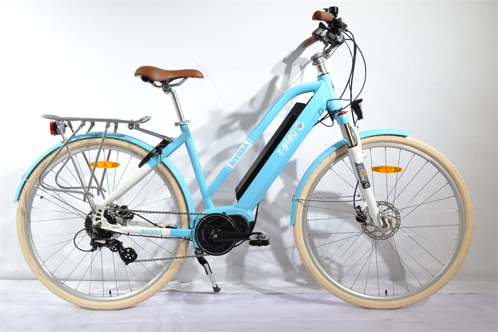 découvrez le vélo électrique t bird bora bora, alliant design élégant et performance pour des balades urbaines ou en pleine nature. profitez d'une assistance électrique puissante et d'une autonomie optimale pour vos déplacements quotidiens.