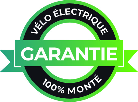 Vélo électrique garantie 100% monté